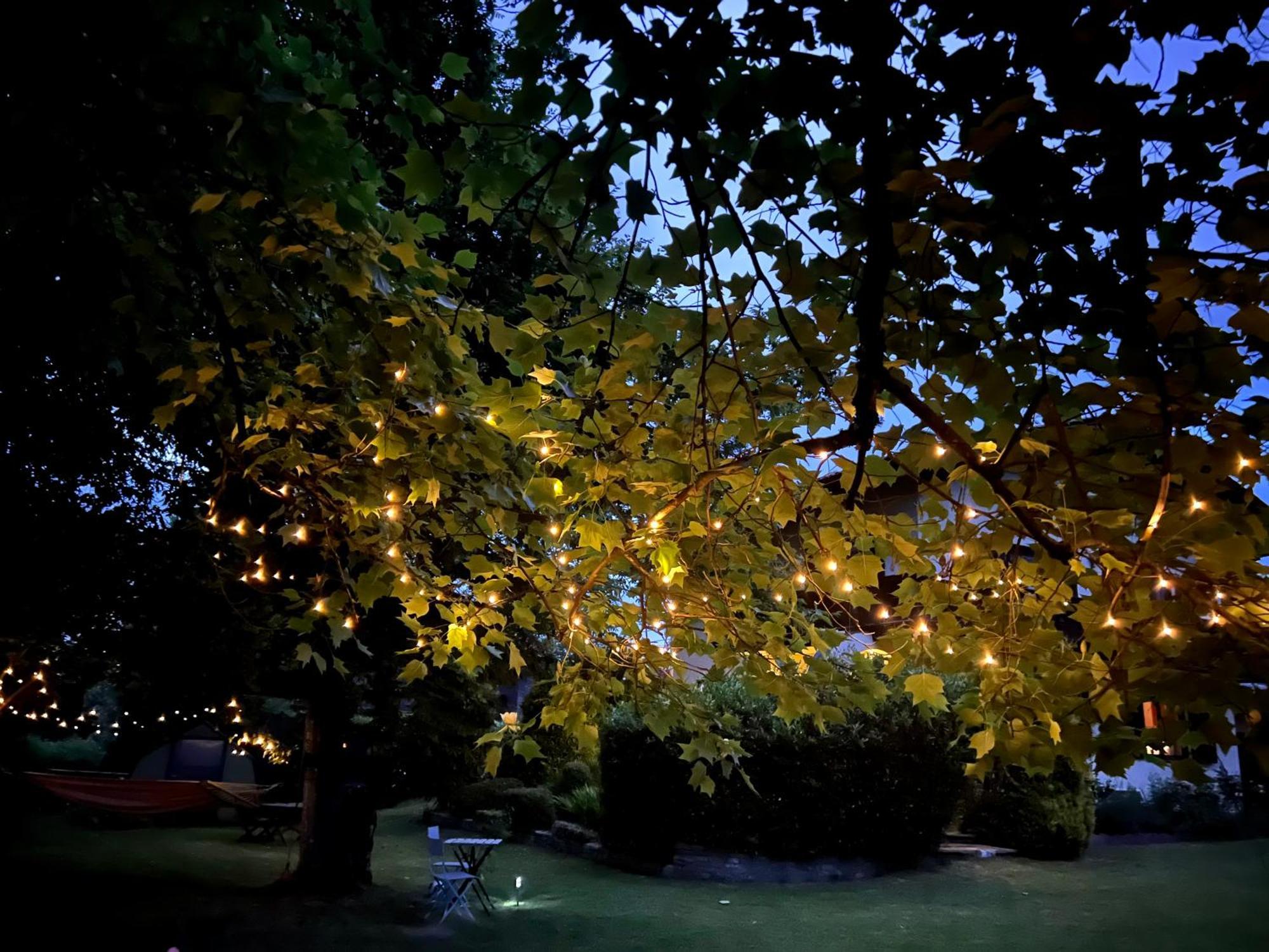 Haus Mit Garten Eugendorf Buitenkant foto