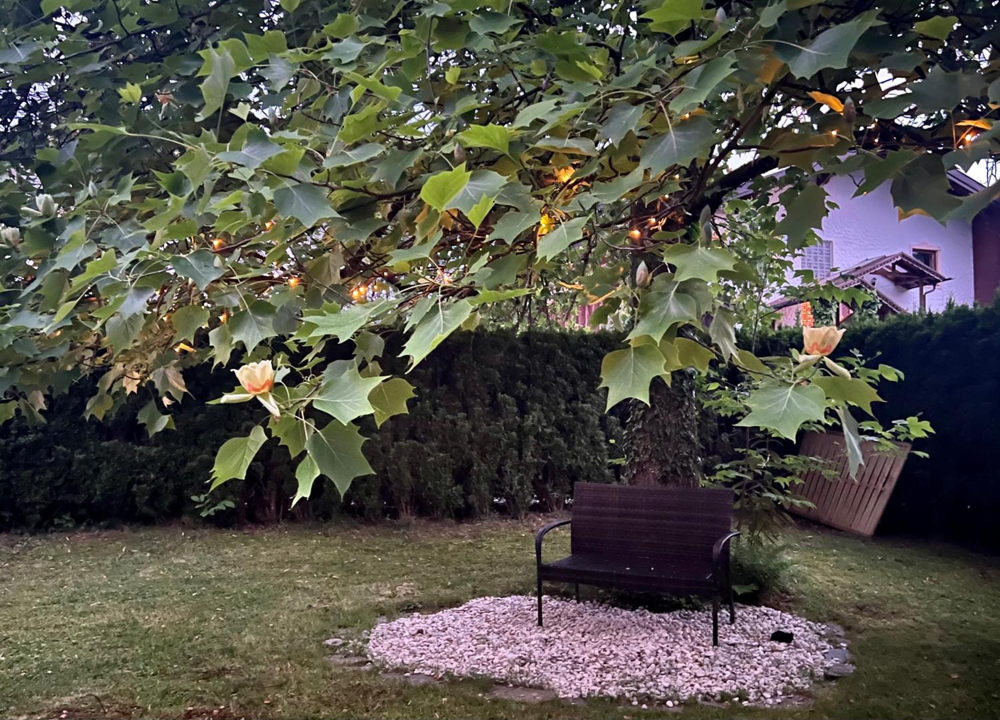 Haus Mit Garten Eugendorf Buitenkant foto